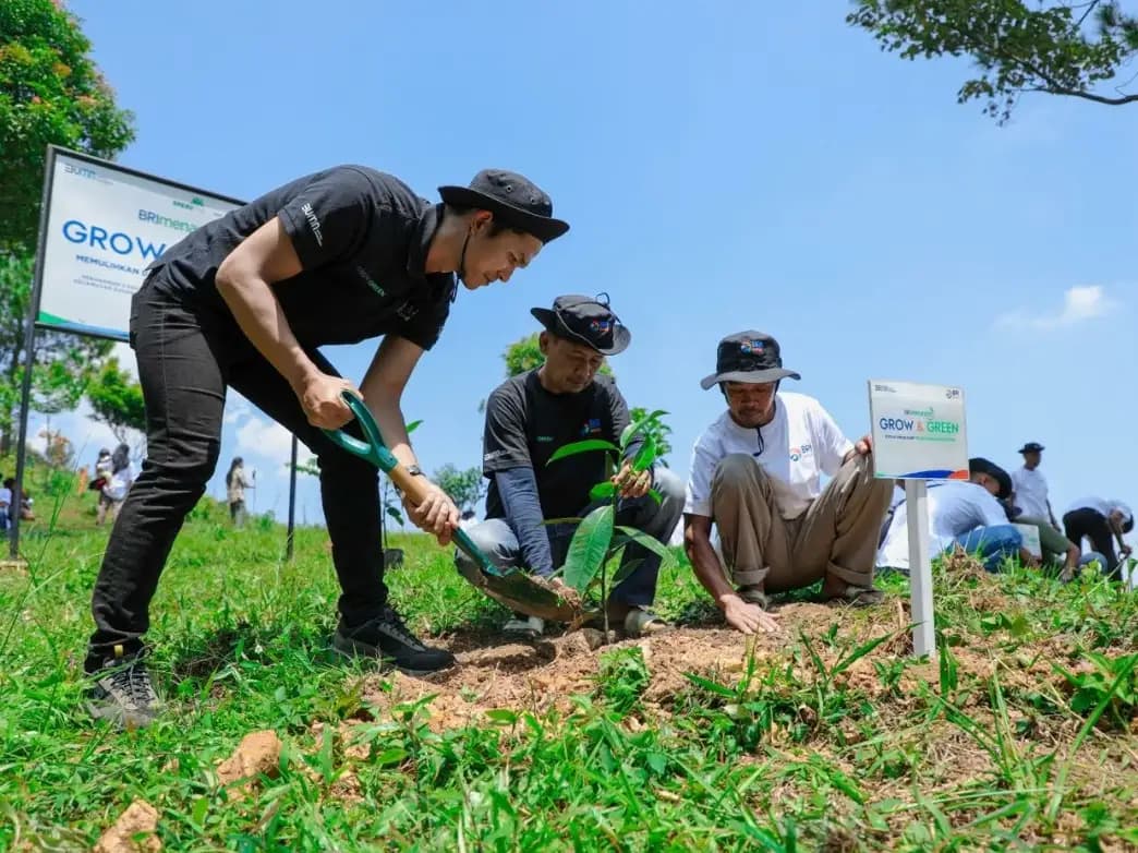 Pulihkan Hutan Bekas Tambang, Aksi Nyata Kelompok Tani Selamatkan Lingkungan Bersama BRI Menanam-Grow & Green