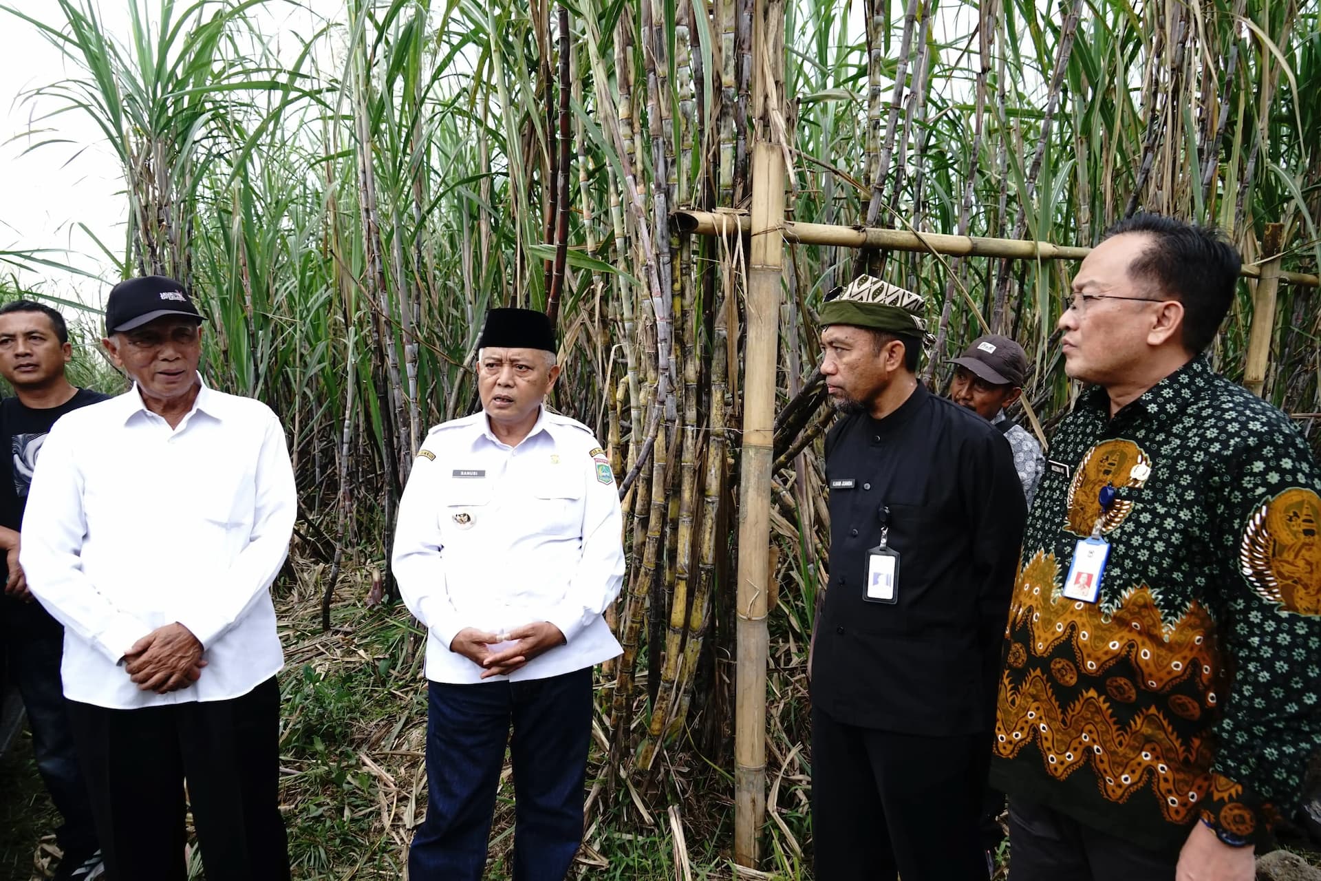 Didukung Penuh Bupati Banyuwangi, Bupati Malang Bertekad Kembangkan Varietas Tebu Cening di Kabupaten Malang