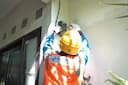 blog img