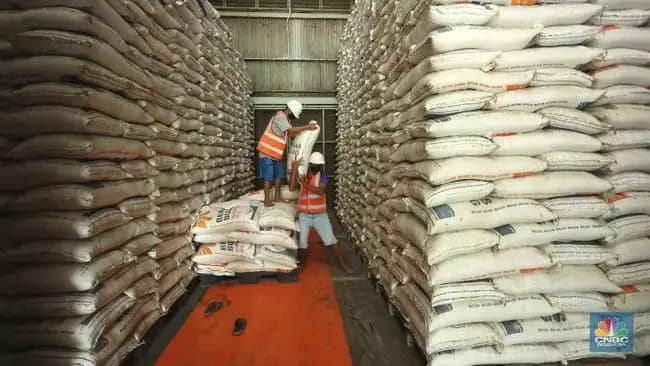 CBP Terjaga, Bulog Optimalkan Serapan Beras 2,1 Juta Ton