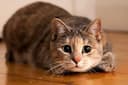 blog img