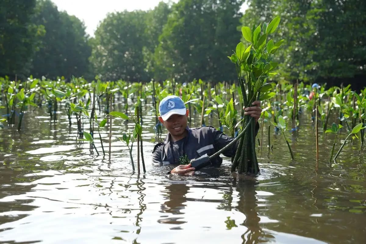 Pemkab Rembang Targetkan Tanam 10.000 Mangrove untuk Rehabilitasi KEE Pasarbanggi  