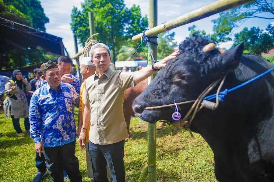 Bursa Hewan Qurban 2025 Dibuka di Bogor, Pemkot Jamin Kesehatan Ternak dan Harga Terjangkau
