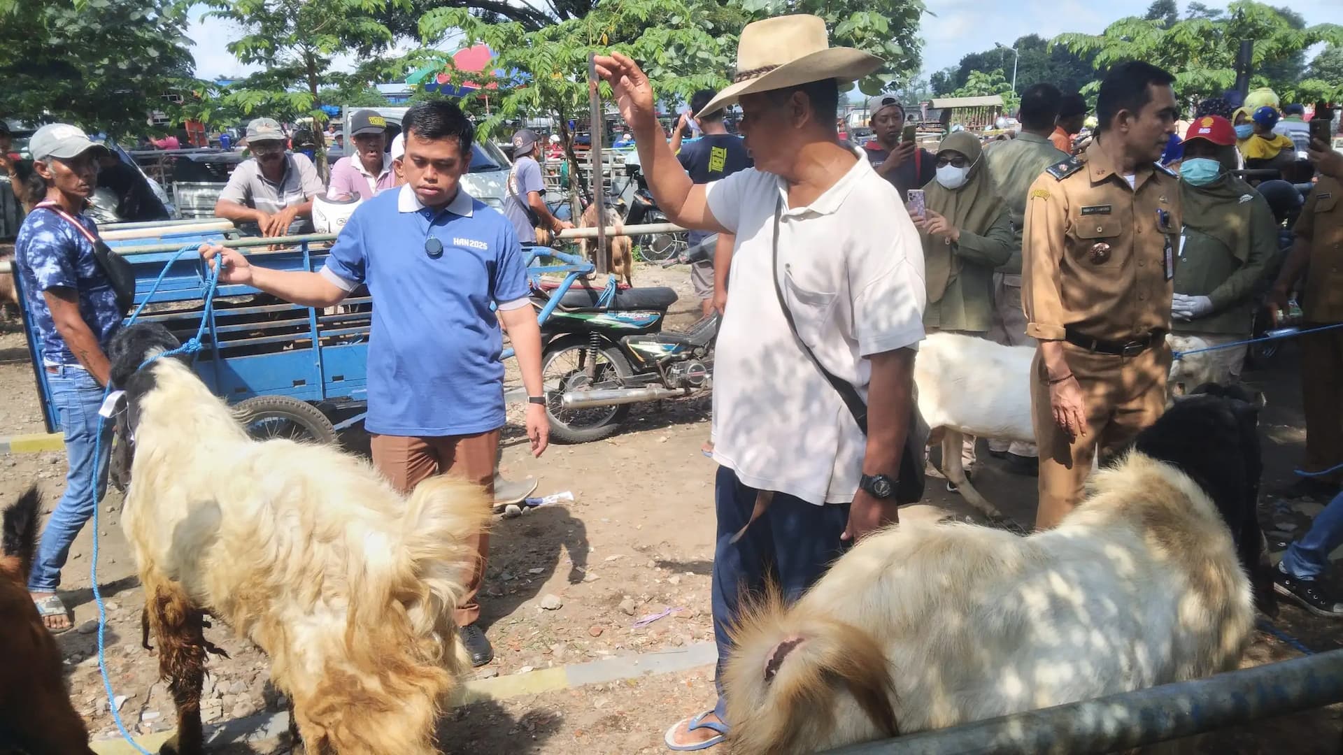 Sidak Hewan Kurban di Blitar Ungkap Penemuan Sapi Terjangkit LSD dan Kambing Berpenyakit Cacing