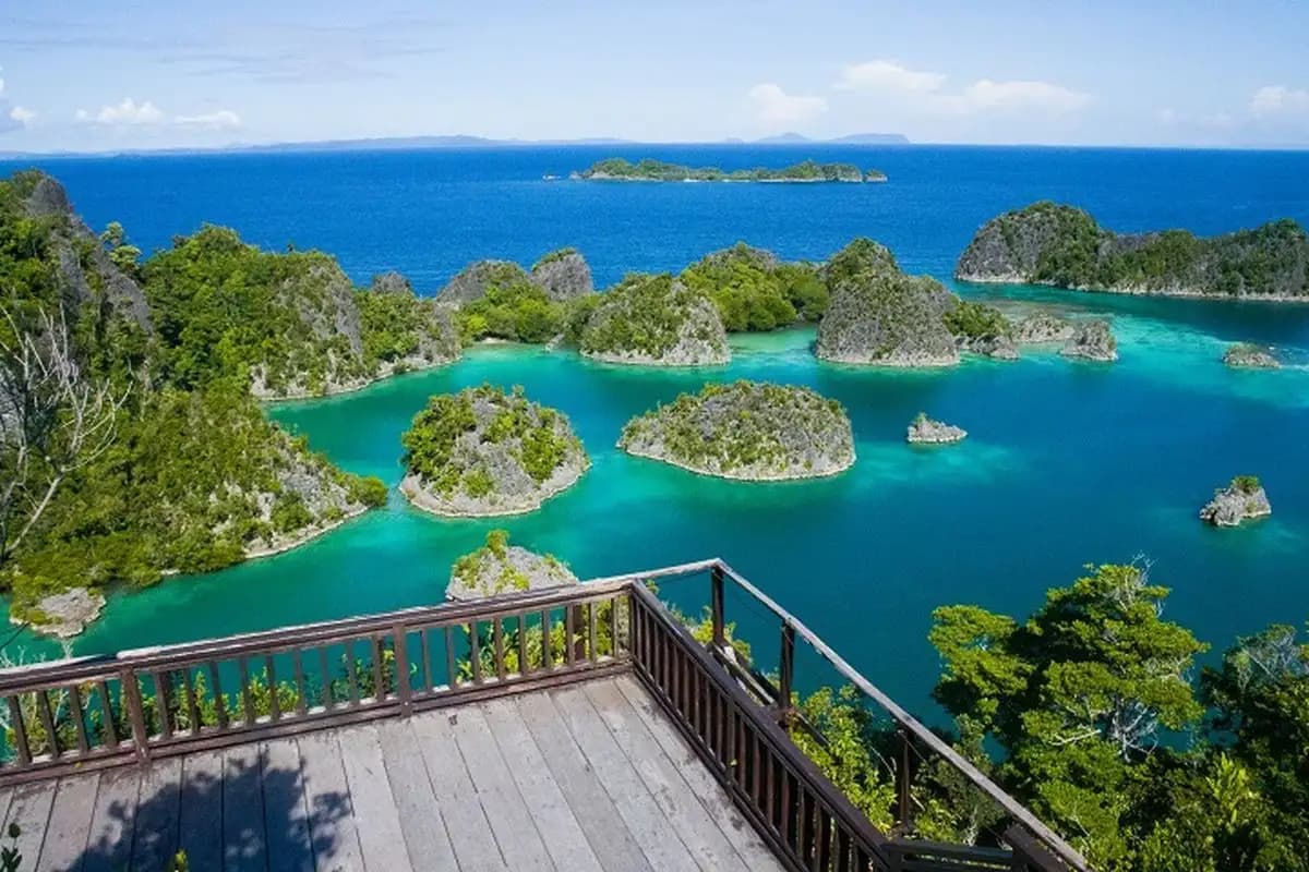 KLH Beri Sanksi ke 4 Perusahaan Tambang Nikel di Raja Ampat Akibat Pelanggaran Lingkungan Serius