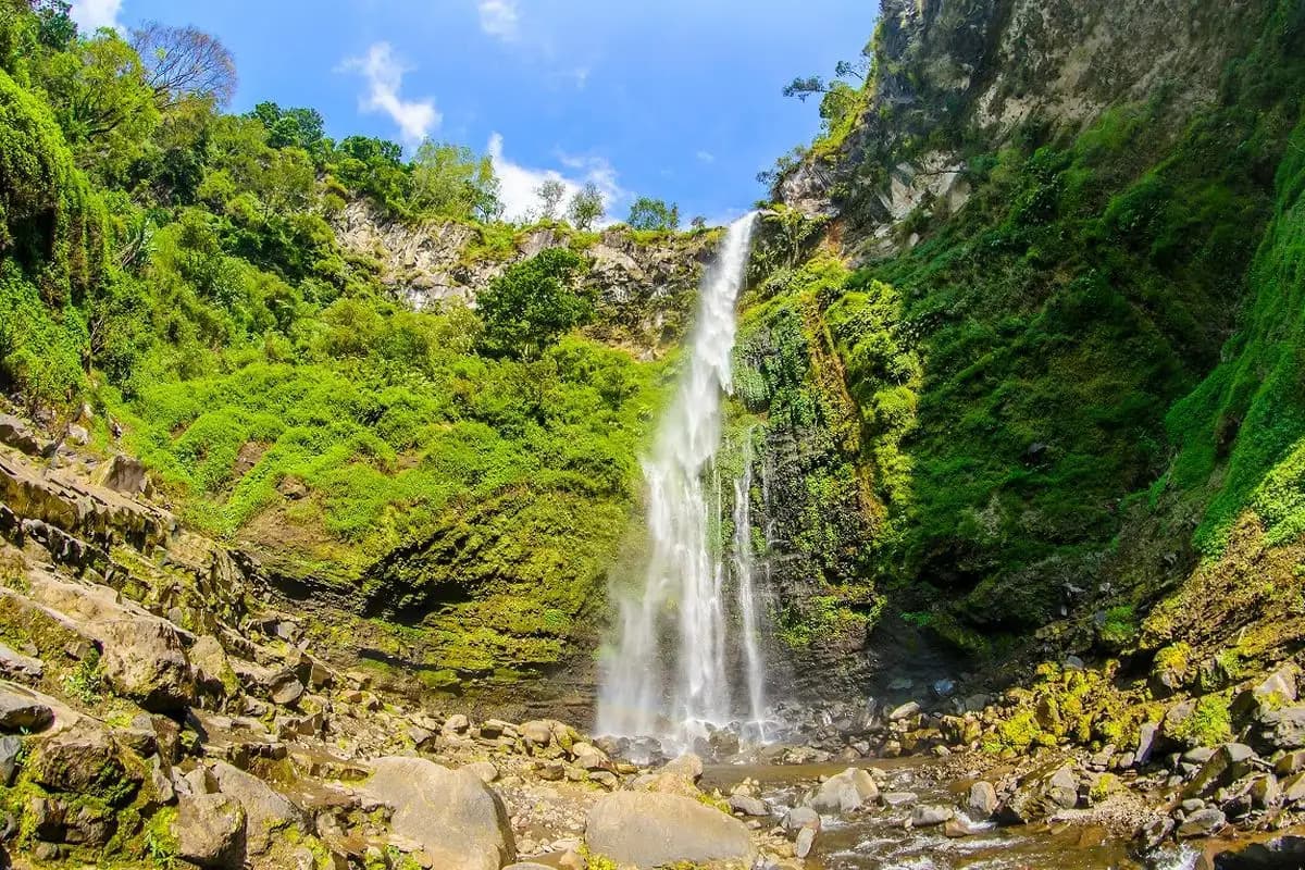 Malang Health Tourism Bidik Pasar Jepang, Tawarkan Proyek Wisata Kesehatan Mariposa  