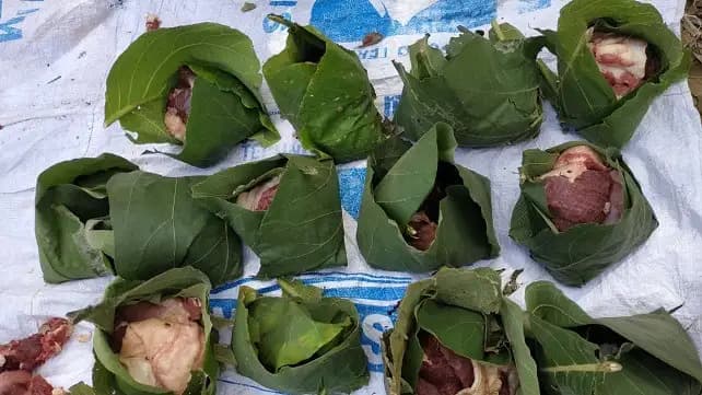 Masjid di Malang Gunakan Daun Jati untuk Bungkus Daging Kurban, Solusi Ramah Lingkungan  