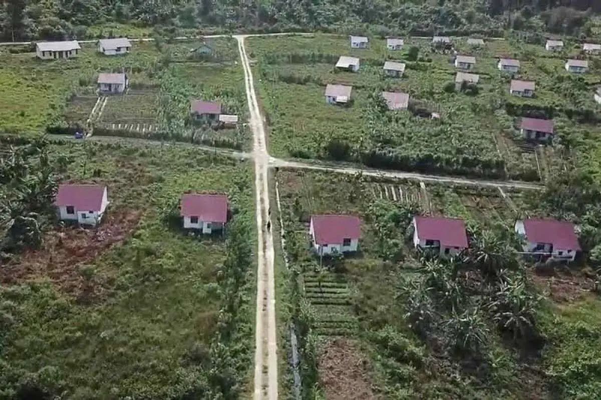 Banyak Transmigran Tak Lagi Tinggal di Lokasi, Pemerintah Hadapi Tantangan Regulasi dan Data  