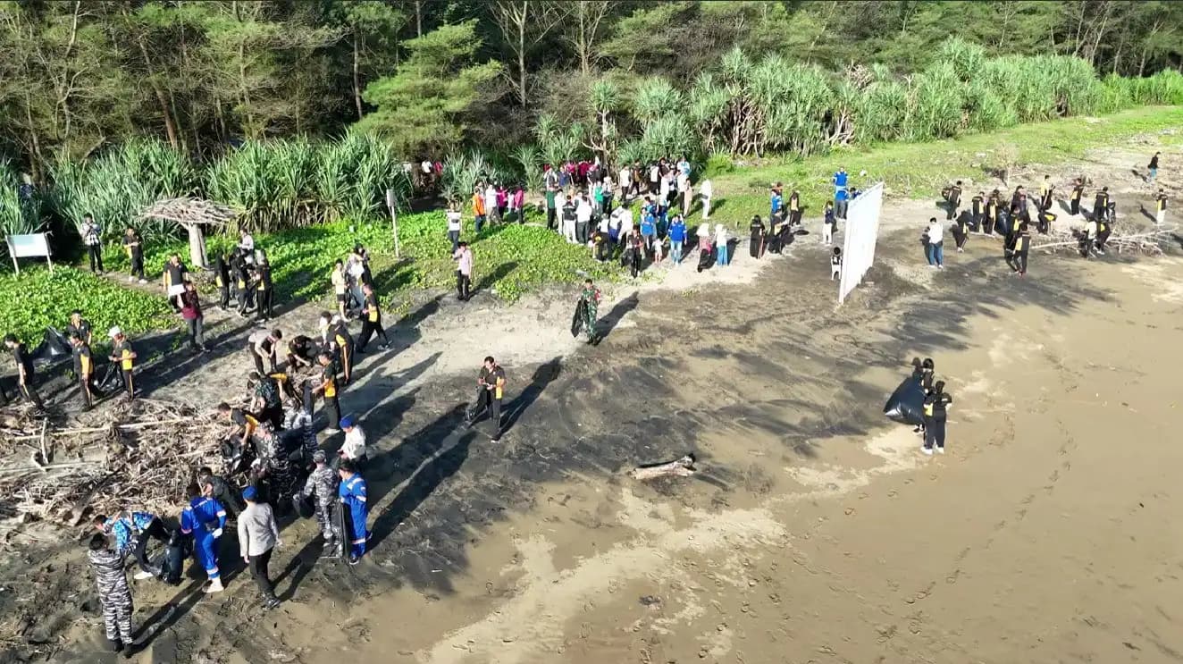 PLN NP Lepas 150 Tukik dan 1 Penyu Sisik di Pantai Pancer Door Pacitan, Dukung Pelestarian Laut