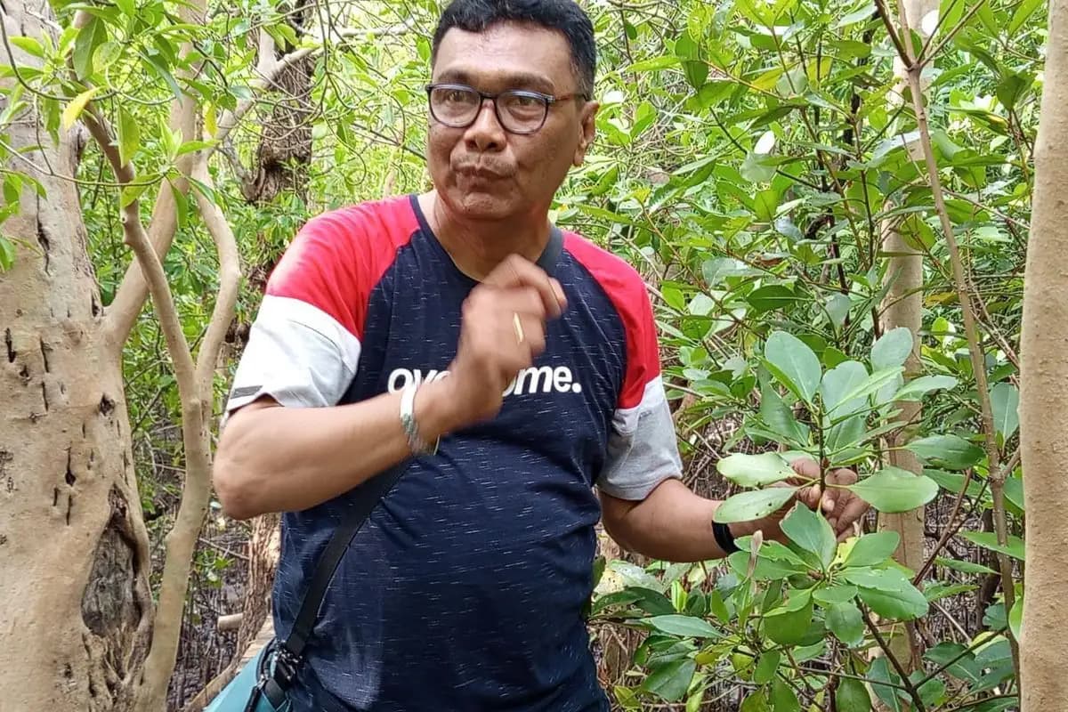 Mangrove Langka Terancam Punah Ditemukan Tumbuh Subur di Pesisir Utara Sumbawa  