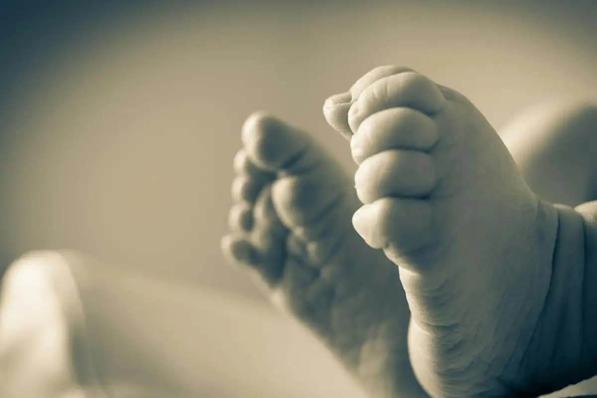Bayi Laki-Laki Ditemukan di Kandang Ayam Tapin, Diduga Dibuang Setelah Lahir  