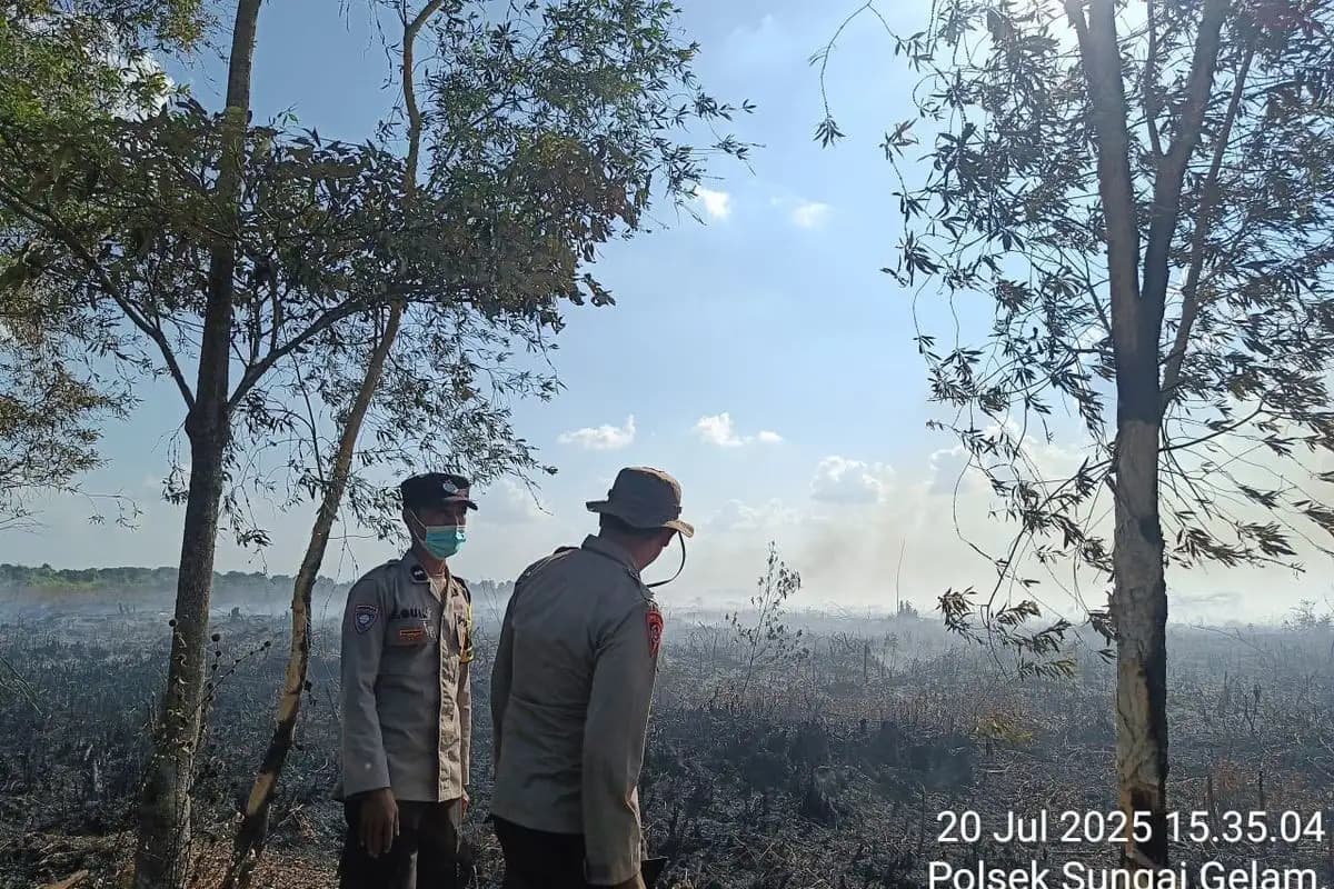50 Hektare Lahan Gambut di Jambi Terbakar, Ratusan Personel Dikerahkan untuk Pemadaman  