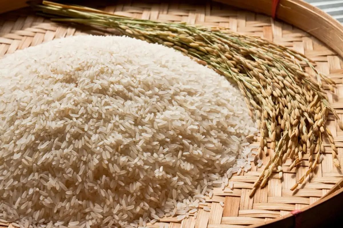 Mahakam Ulu Krisis Logistik Akibat Kemarau, Harga Beras dan Elpiji Melambung Ting  