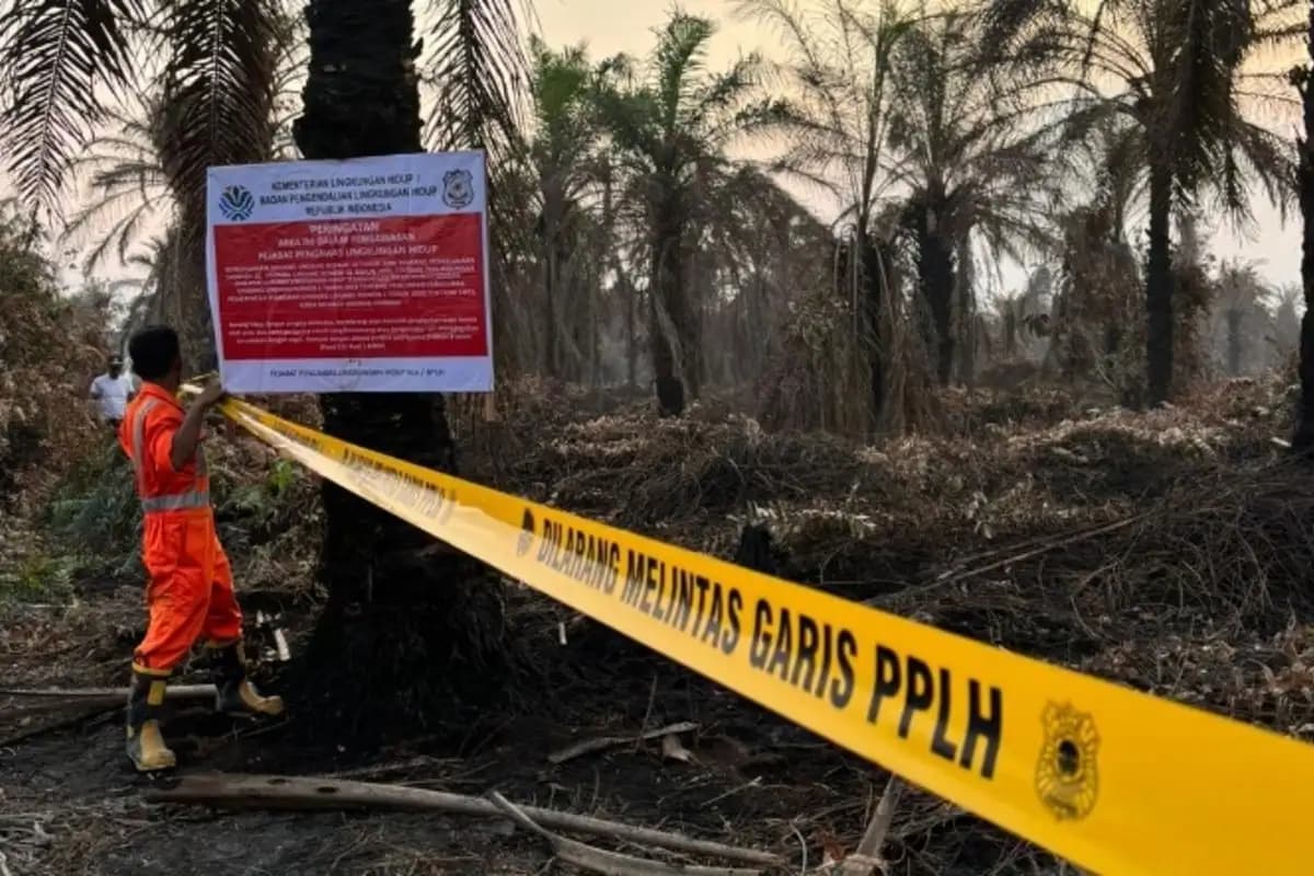 Kementerian Lingkungan Hidup Segel 4 Perusahaan dan Tutup Pabrik Sawit di Riau  