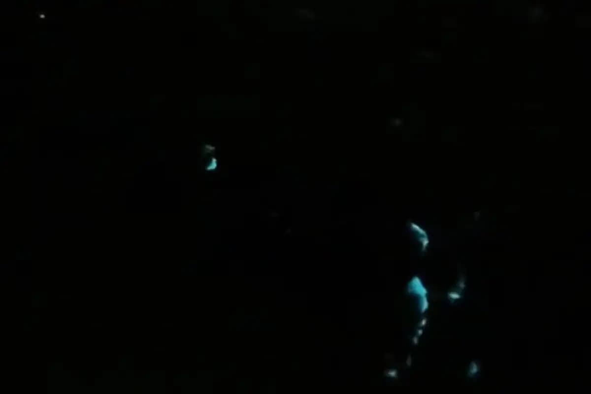 Fenomena Air Laut Bercahaya di Bawah Jembatan Suramadu Diduga Bioluminesensi  