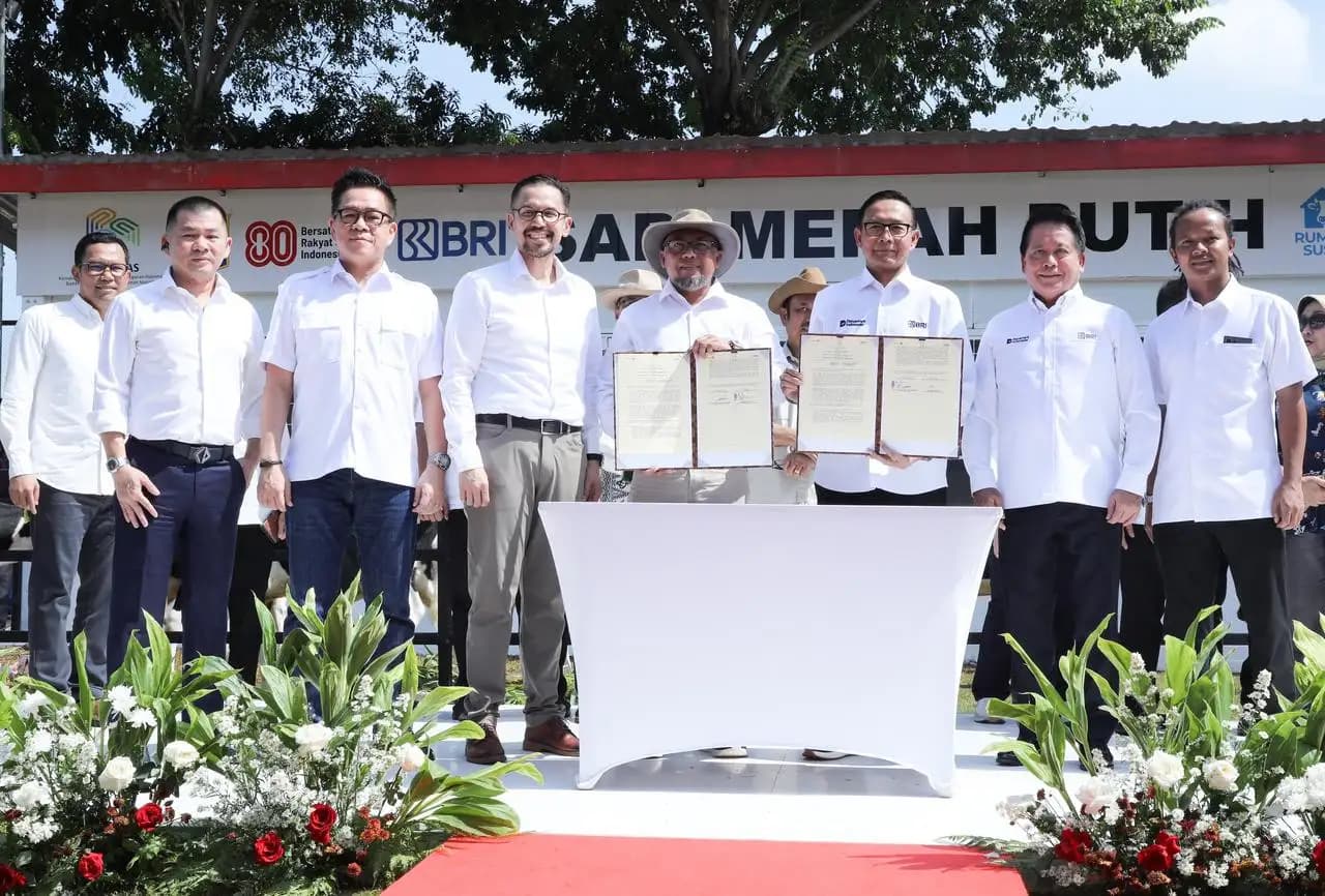 BRI Dukung Program Sapi Merah Putih, Dorong Swasembada Pangan Nasional