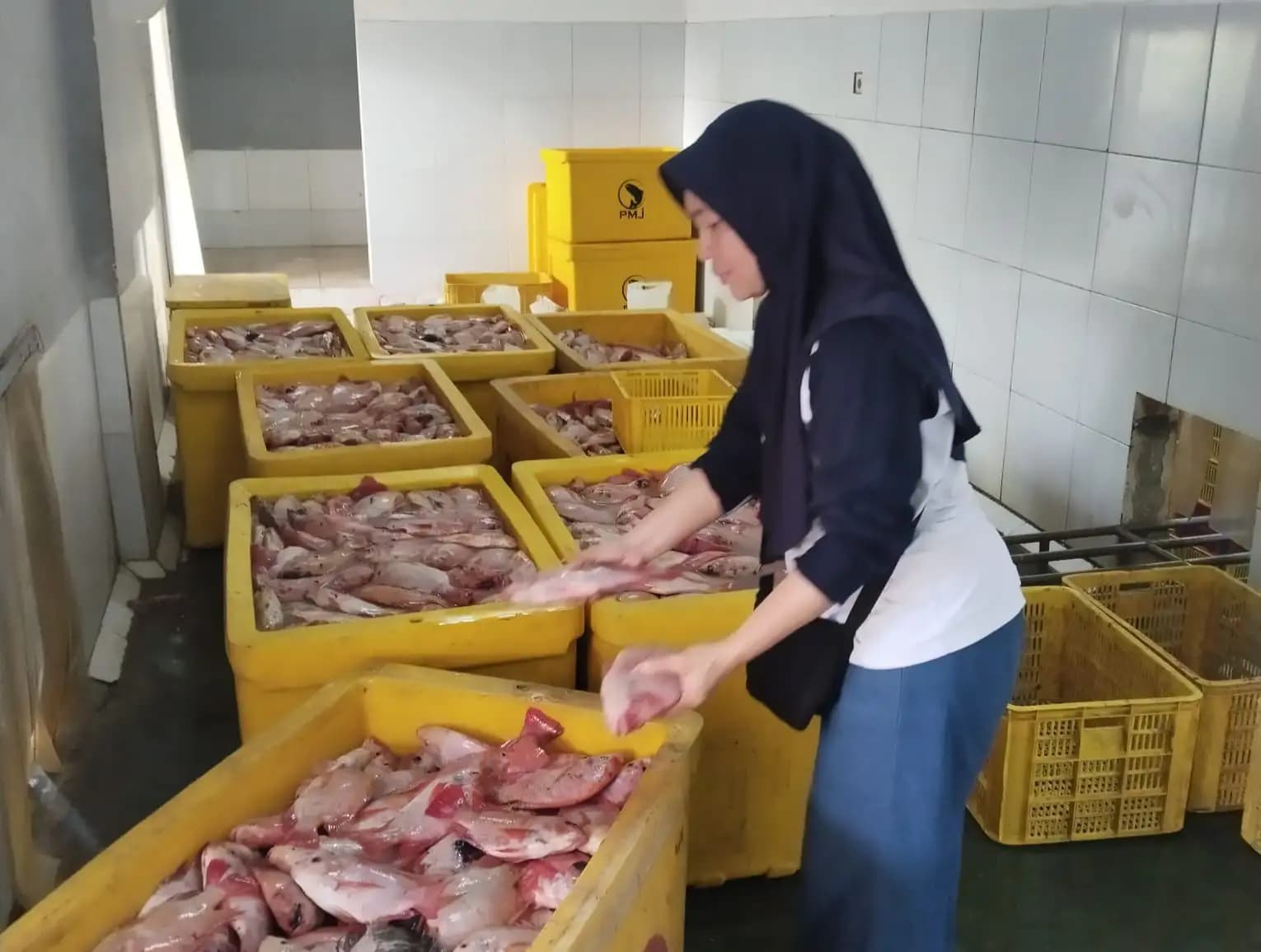 Pemkab Rembang Perluas Program Makan Bergizi Gratis dengan Ikan Nila Filet