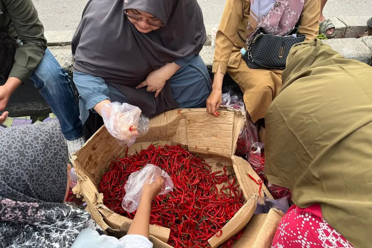 Pemprov Riau Turunkan Harga dengan Distribusi Satu Ton Cabai Merah ke Pasar