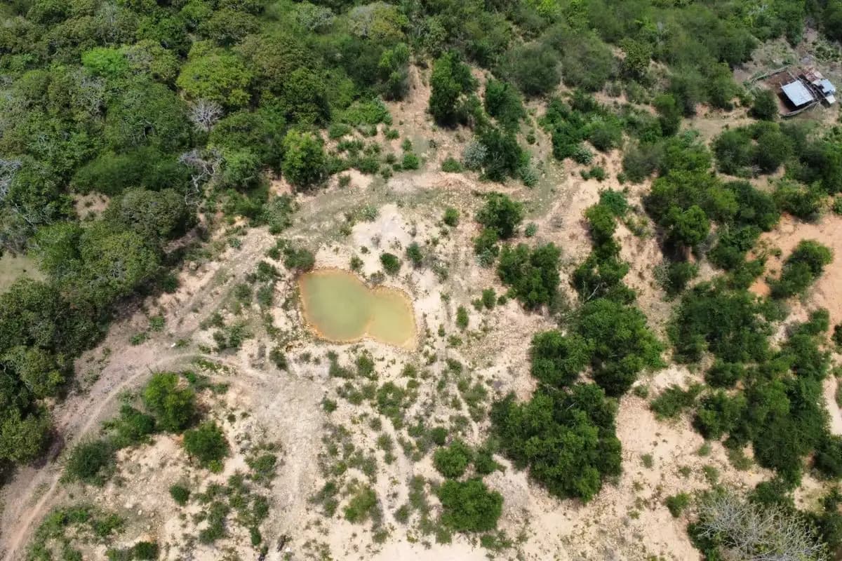 Kemenhut Segel Tambang Emas Ilegal di Kawasan Mandalika NTB