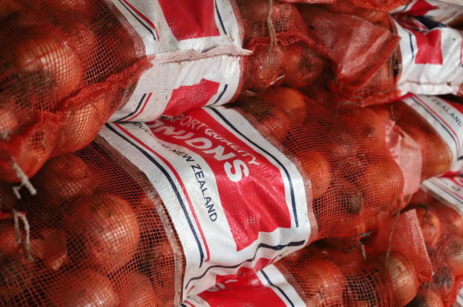 Bea Cukai Kalbagbar Gagalkan Penyelundupan 30 Ton Bawang Bombai di Pelabuhan Dwikora