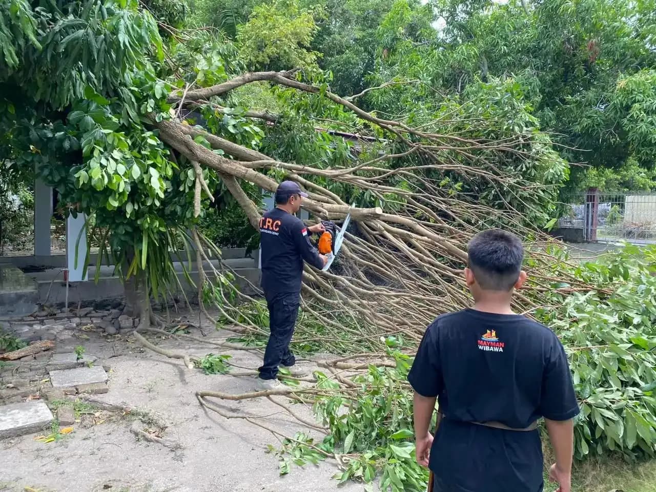 BNPB Catat Bencana Angin Kencang dan Banjir di Sejumlah Daerah, Masyarakat Diimbau Waspada Cuaca Ekstrem