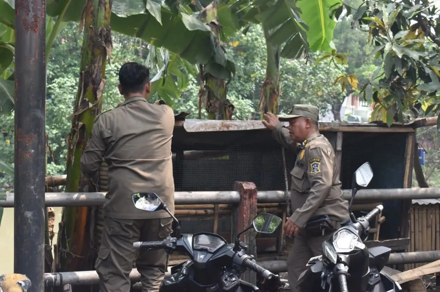 Pemkot Surabaya Tertibkan PKL dan Bangunan Liar di Jalan Johar dan Jalan Sulung