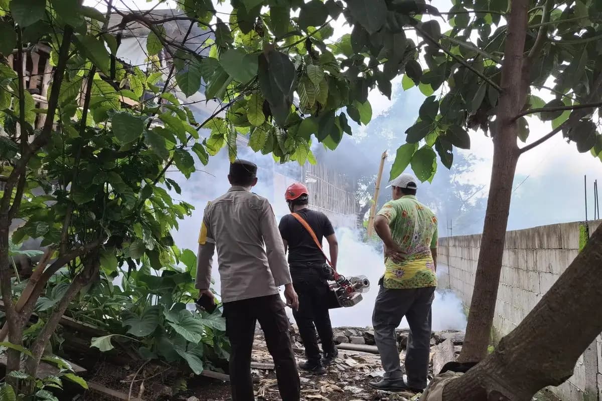 19 Warga Pasuruan Terjangkit Chikungunya, BPBD Lakukan Fogging Darurat