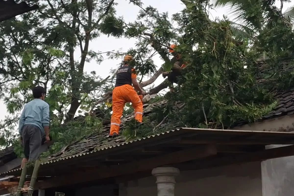 Angin Puting Beliung Rusak 41 Rumah dan Tewaskan Satu Warga di Lumajang